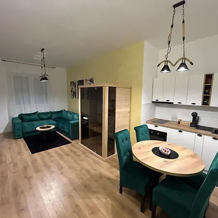 Bozickovic Apartment