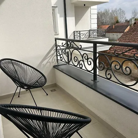 Bozickovic Palic