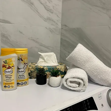Bozickovic Apartment